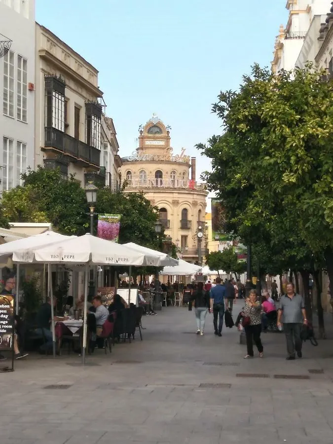 Alojamiento Hipatia En Pleno Casco Historico Hotel Jerez de la Frontera