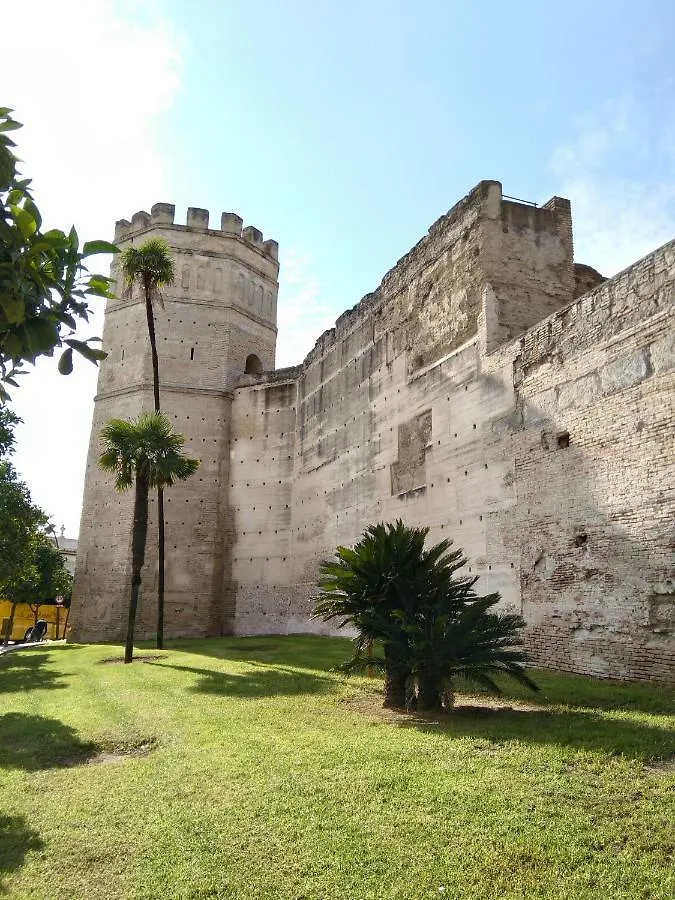 Alojamiento Hipatia En Pleno Casco Historico Hotel Jerez de la Frontera 0*,