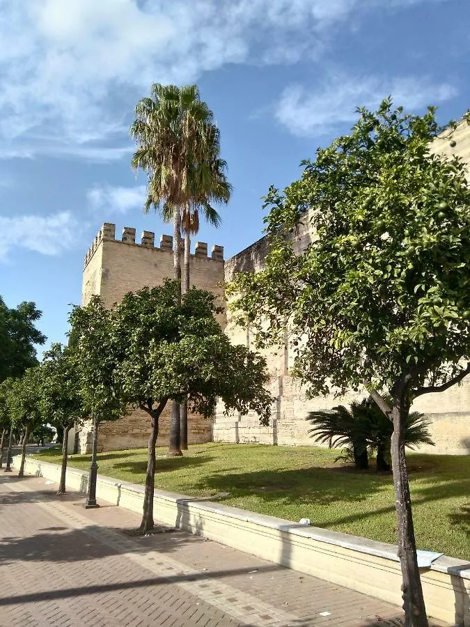 Alojamiento Hipatia En Pleno Casco Historico Hotel Jerez de la Frontera