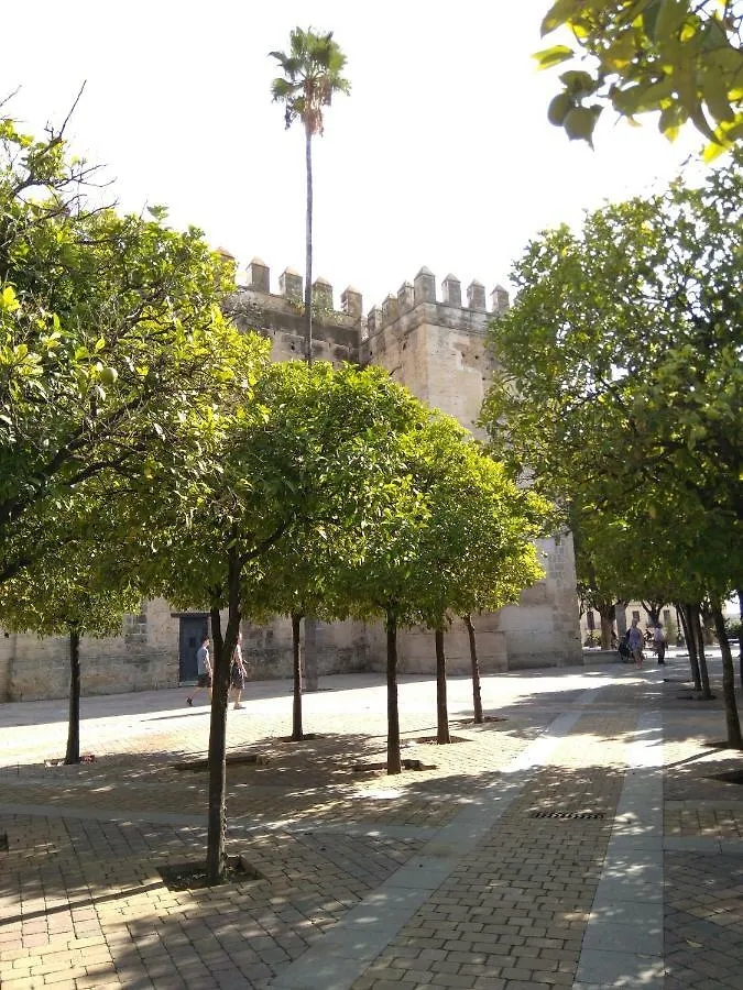 Appartement Alojamiento Hipatia En Pleno Casco Historico Hotel Jerez de la Frontera