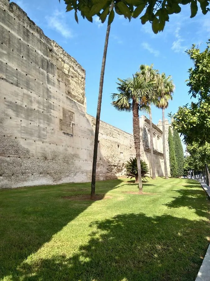 Alojamiento Hipatia En Pleno Casco Historico Hotel Jerez de la Frontera Appartement