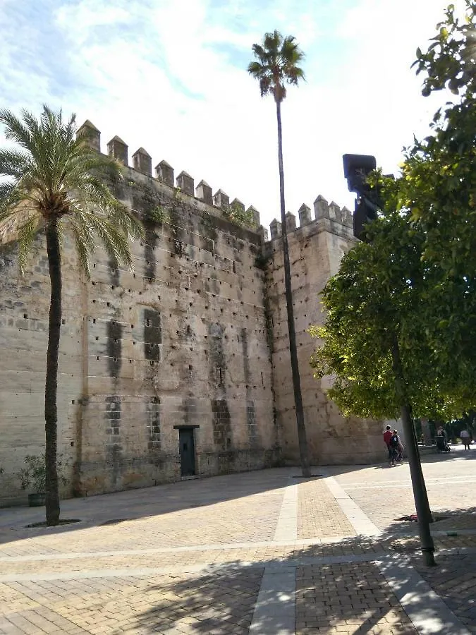 Alojamiento Hipatia En Pleno Casco Historico Hotel Jerez de la Frontera